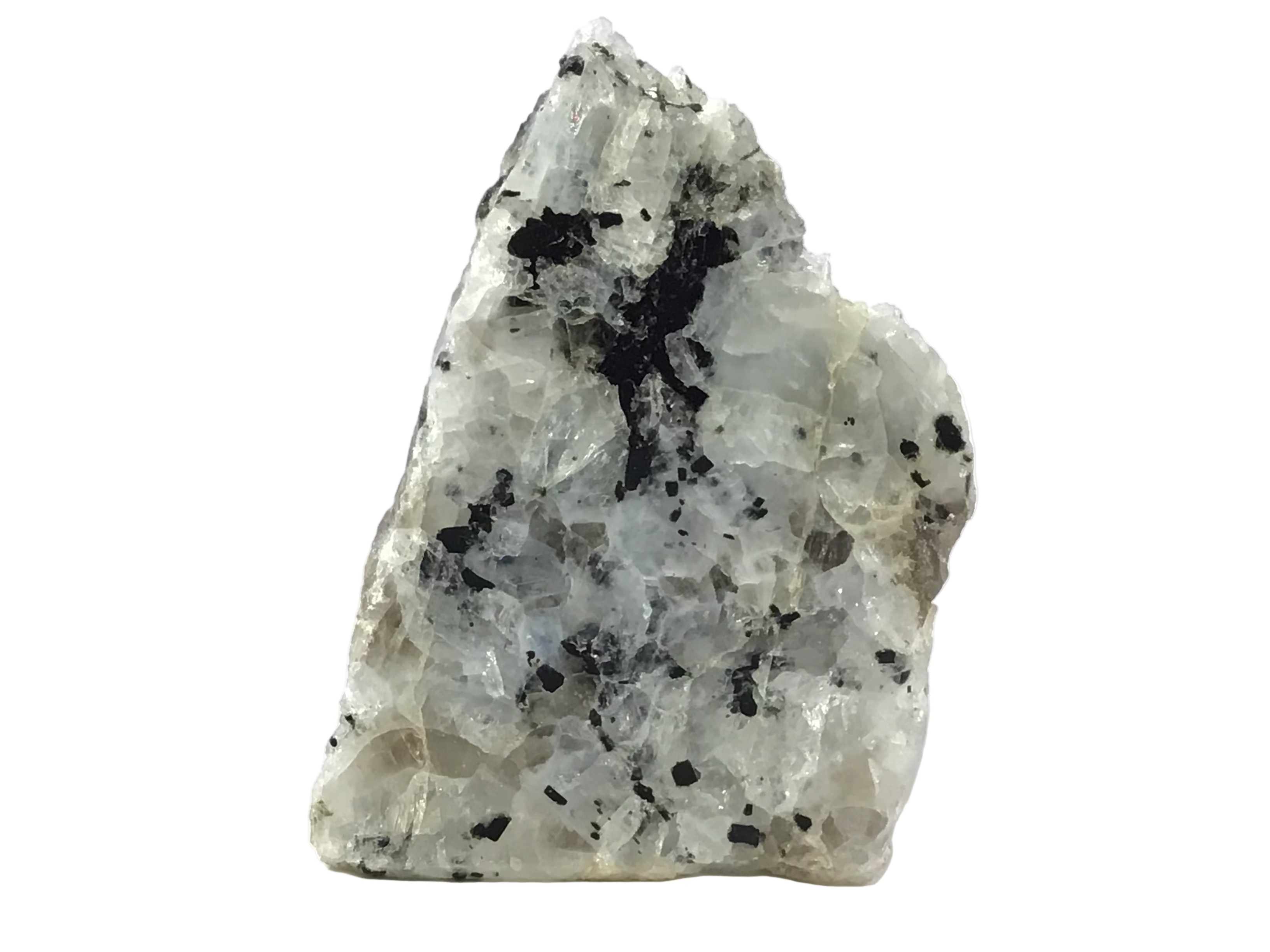 Rainbow Moonstone Specimen - One Side Polish - Small | Crystals & Minerals > Specimens | Wiccan Center