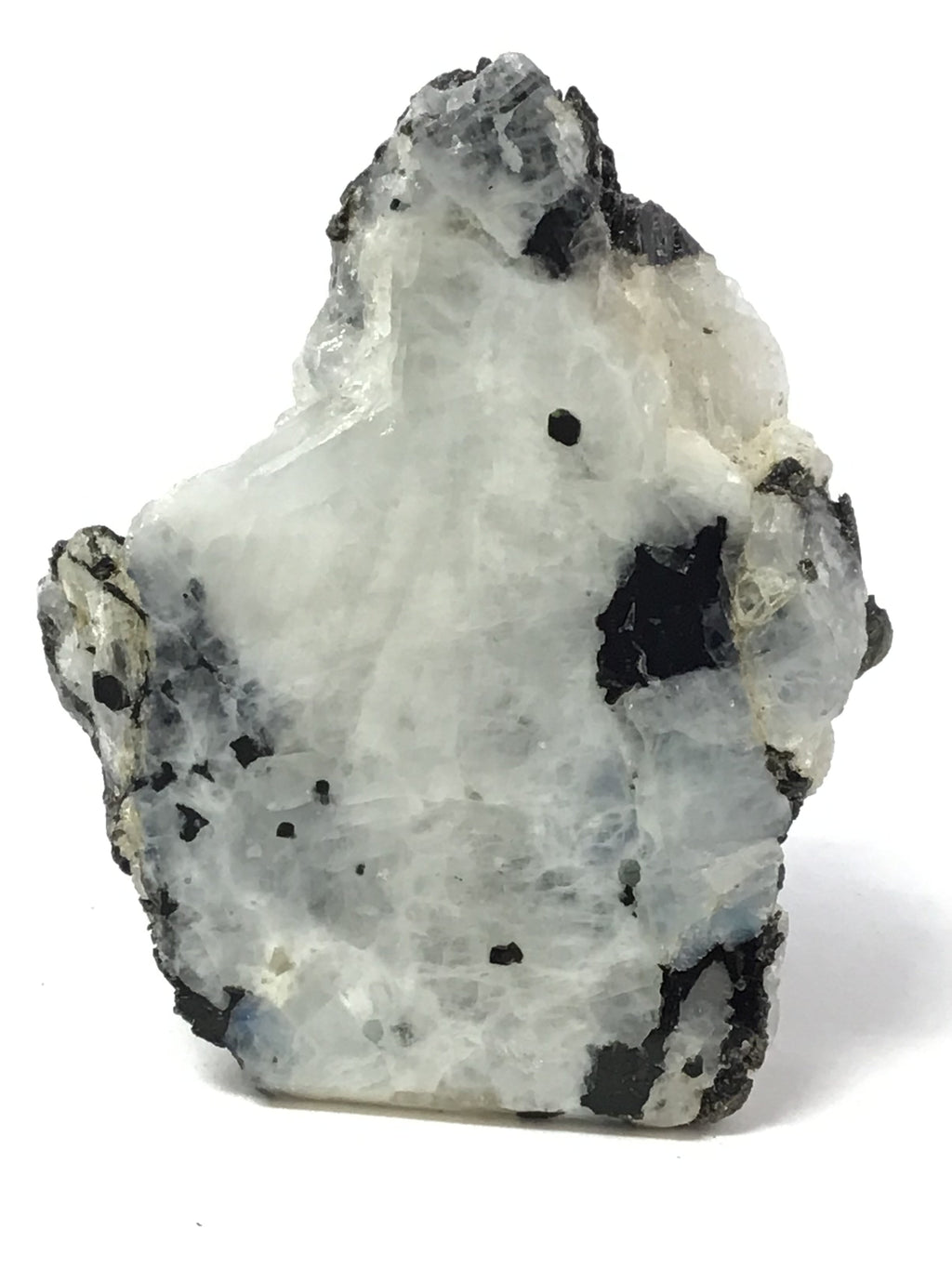 Rainbow Moonstone Specimen - One Side Polish - Medium | Crystals & Minerals > Specimens | Wiccan Center