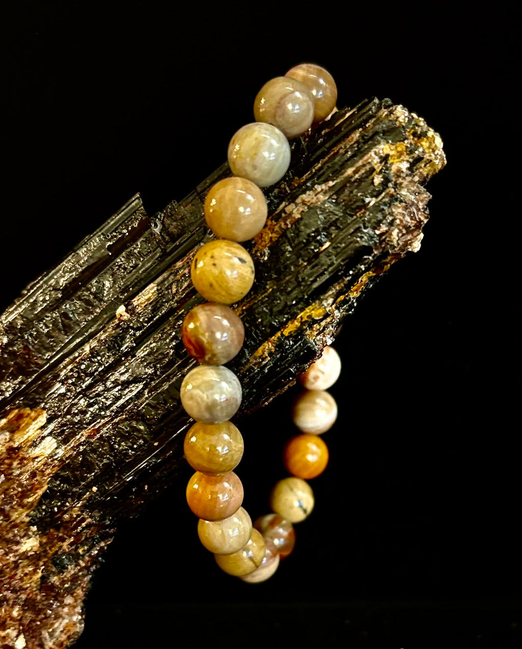 Petrified Wood Bracelet – 8mm Beads, Medium Wrists | | Wiccan Center