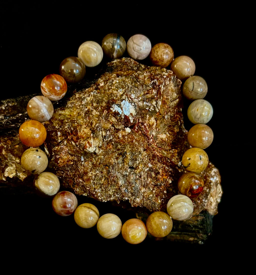Petrified Wood Bracelet – 8mm Beads, Medium Wrists | | Wiccan Center