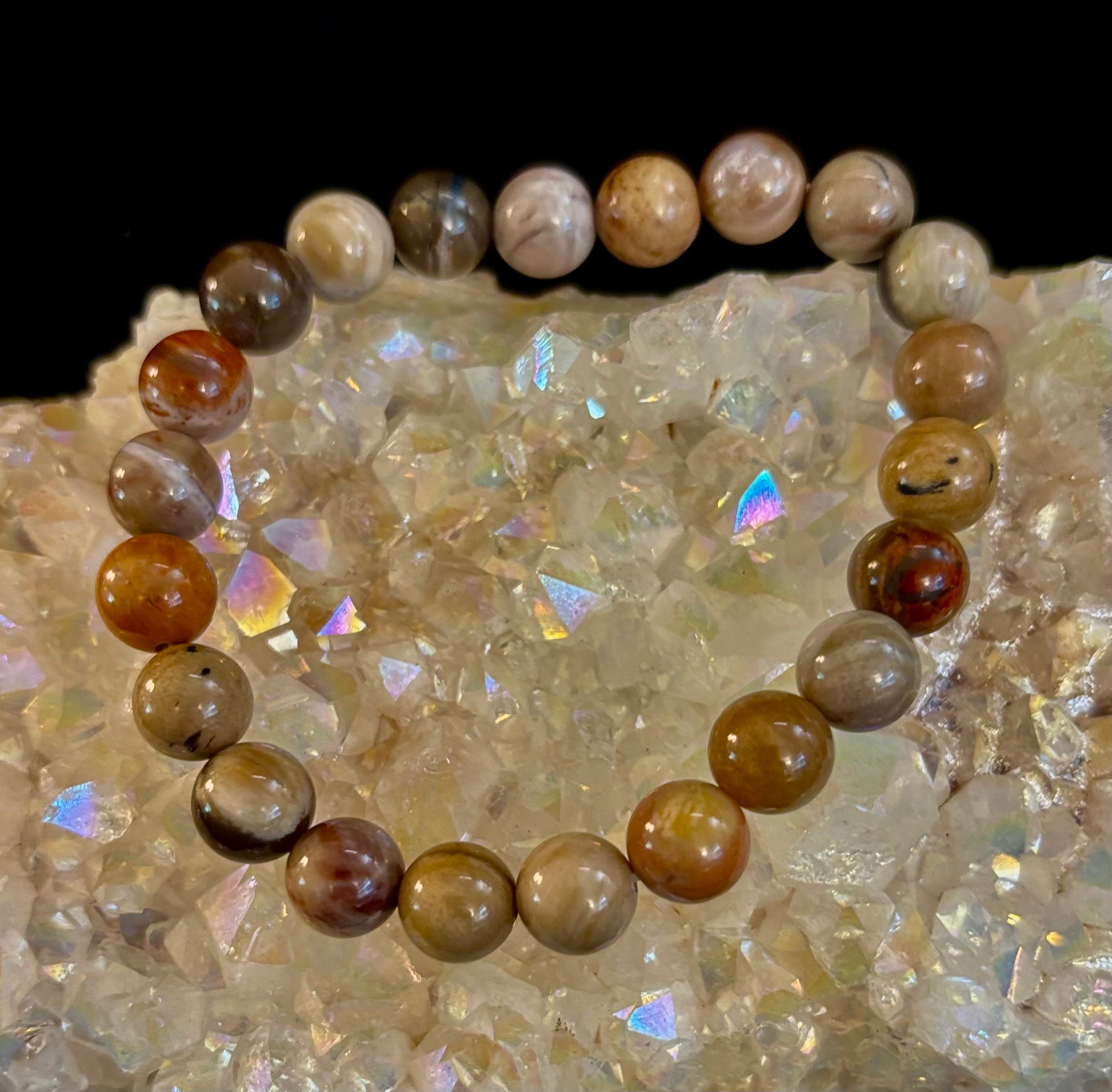 Petrified Wood Bracelet – 8mm Beads, Medium Wrists | | Wiccan Center
