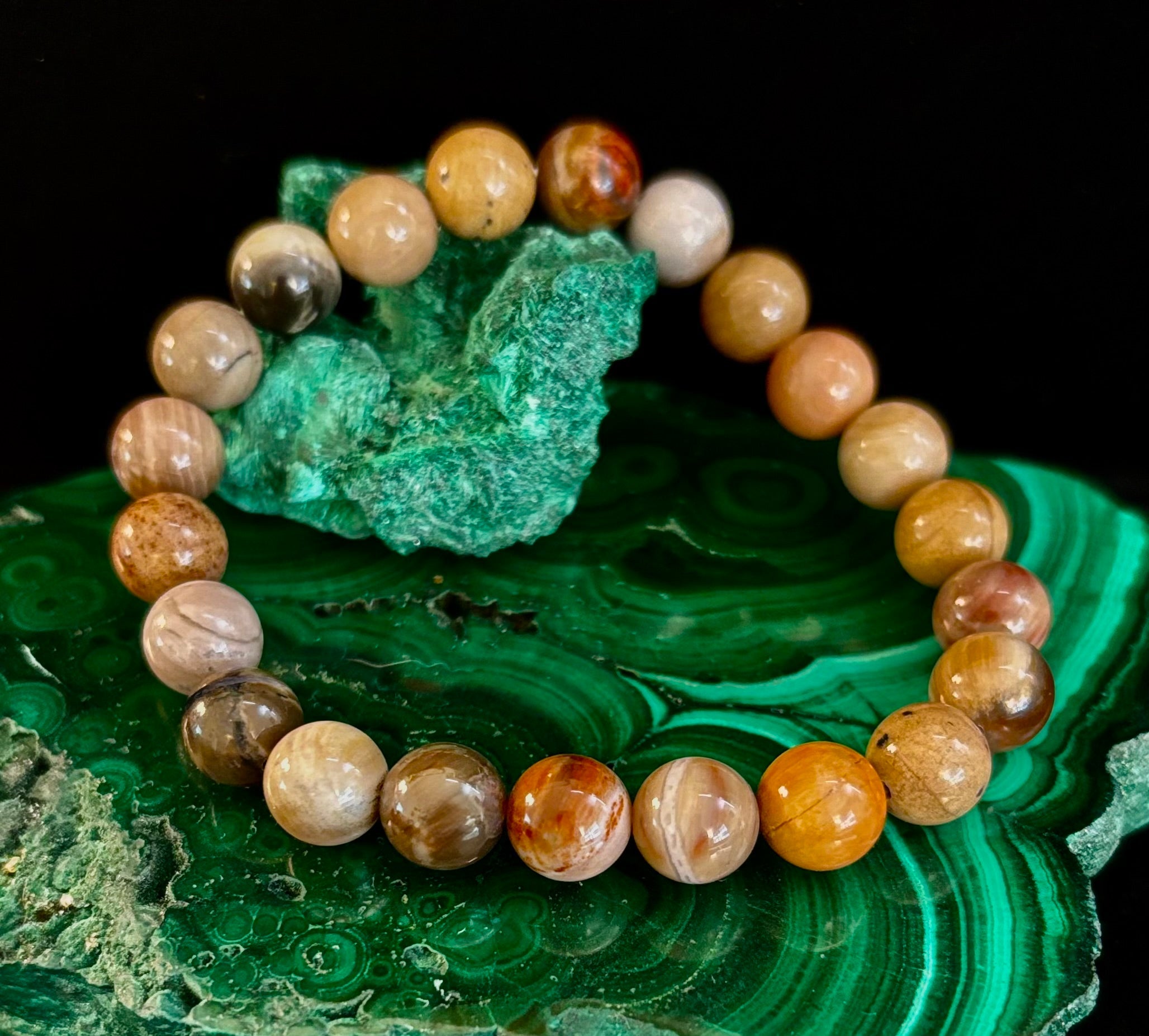 Petrified Wood Bracelet – 8mm Beads, Medium Wrists | | Wiccan Center