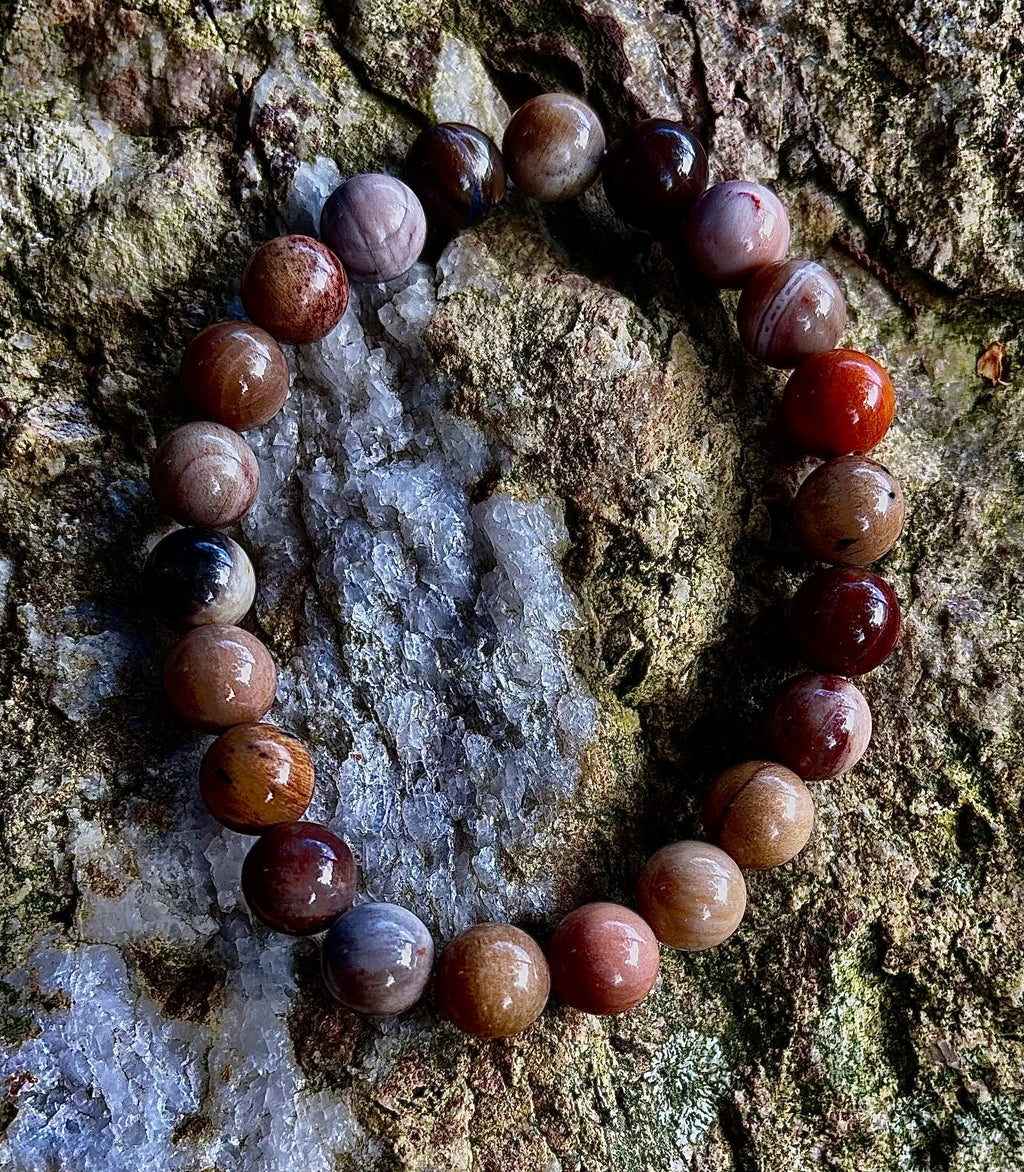 Petrified Wood Bracelet – 8mm Beads, Medium Wrists | | Wiccan Center