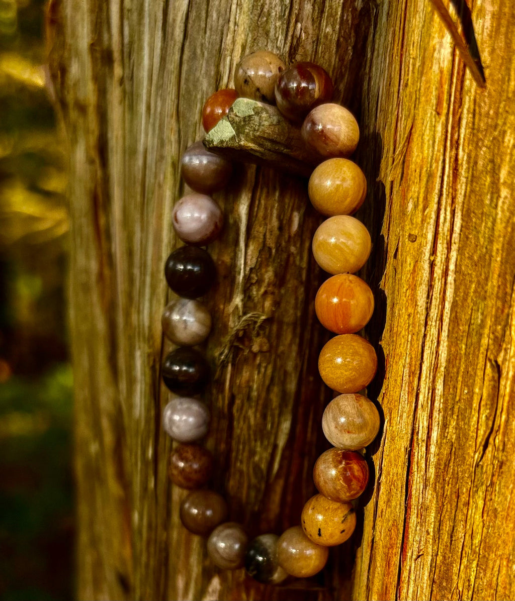 Petrified Wood Bracelet – 8mm Beads, Medium Wrists | | Wiccan Center