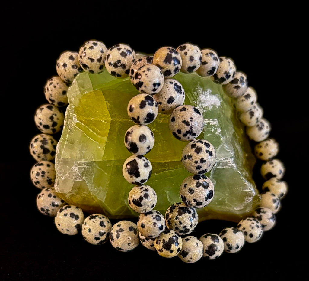 Dalmatian Jasper Protection & Playfulness Bracelet – 8mm or 10mm Natural Stone Beads | | Wiccan Center
