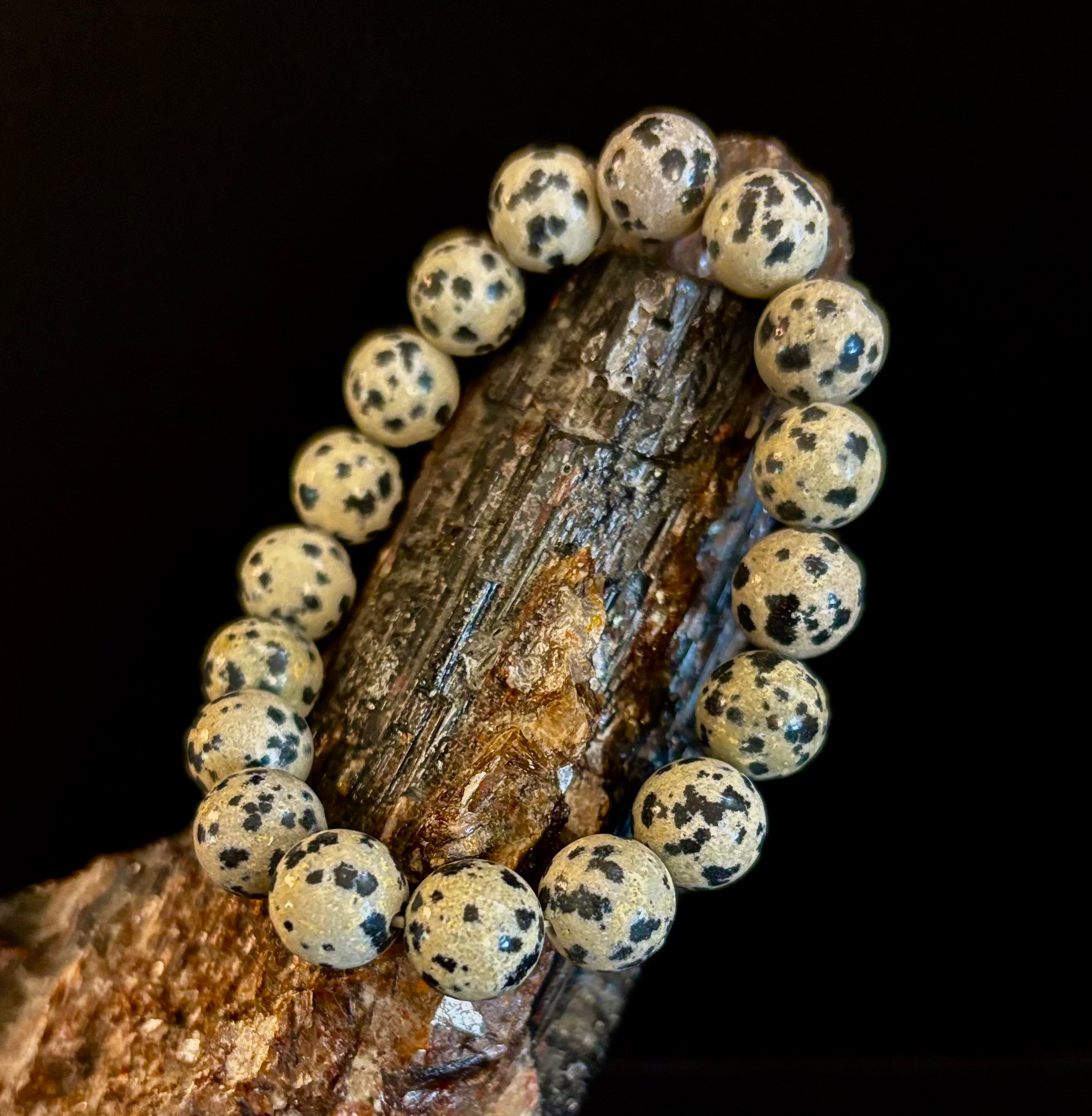Dalmatian Jasper Protection & Playfulness Bracelet – 8mm or 10mm Natural Stone Beads | | Wiccan Center