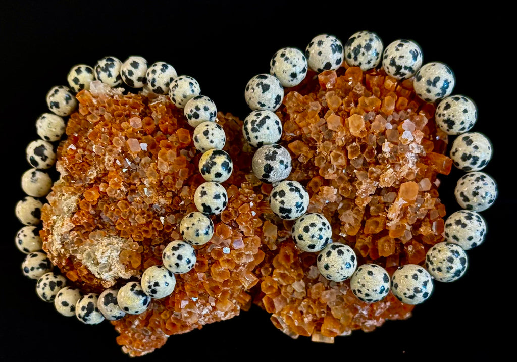 Dalmatian Jasper Protection & Playfulness Bracelet – 8mm or 10mm Natural Stone Beads | | Wiccan Center