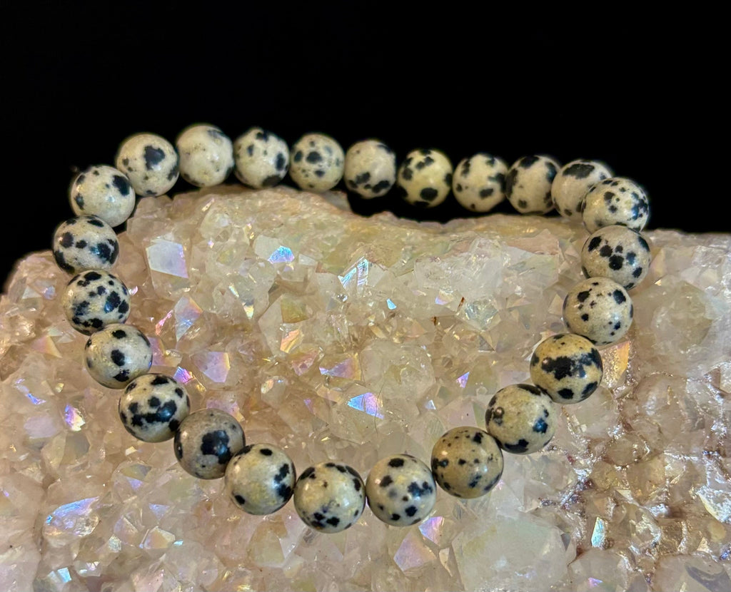 Dalmatian Jasper Protection & Playfulness Bracelet – 8mm or 10mm Natural Stone Beads | | Wiccan Center