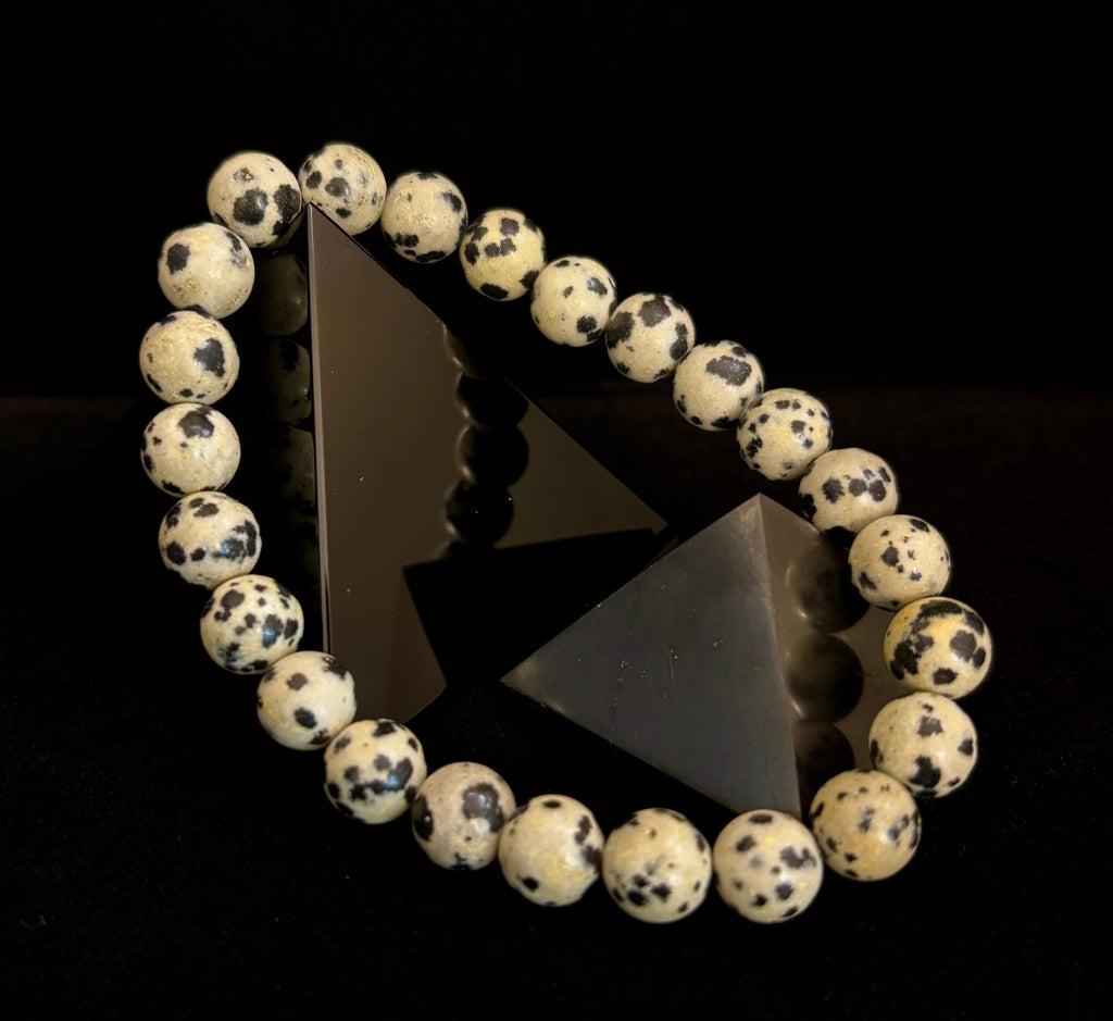 Dalmatian Jasper Protection & Playfulness Bracelet – 8mm or 10mm Natural Stone Beads | | Wiccan Center