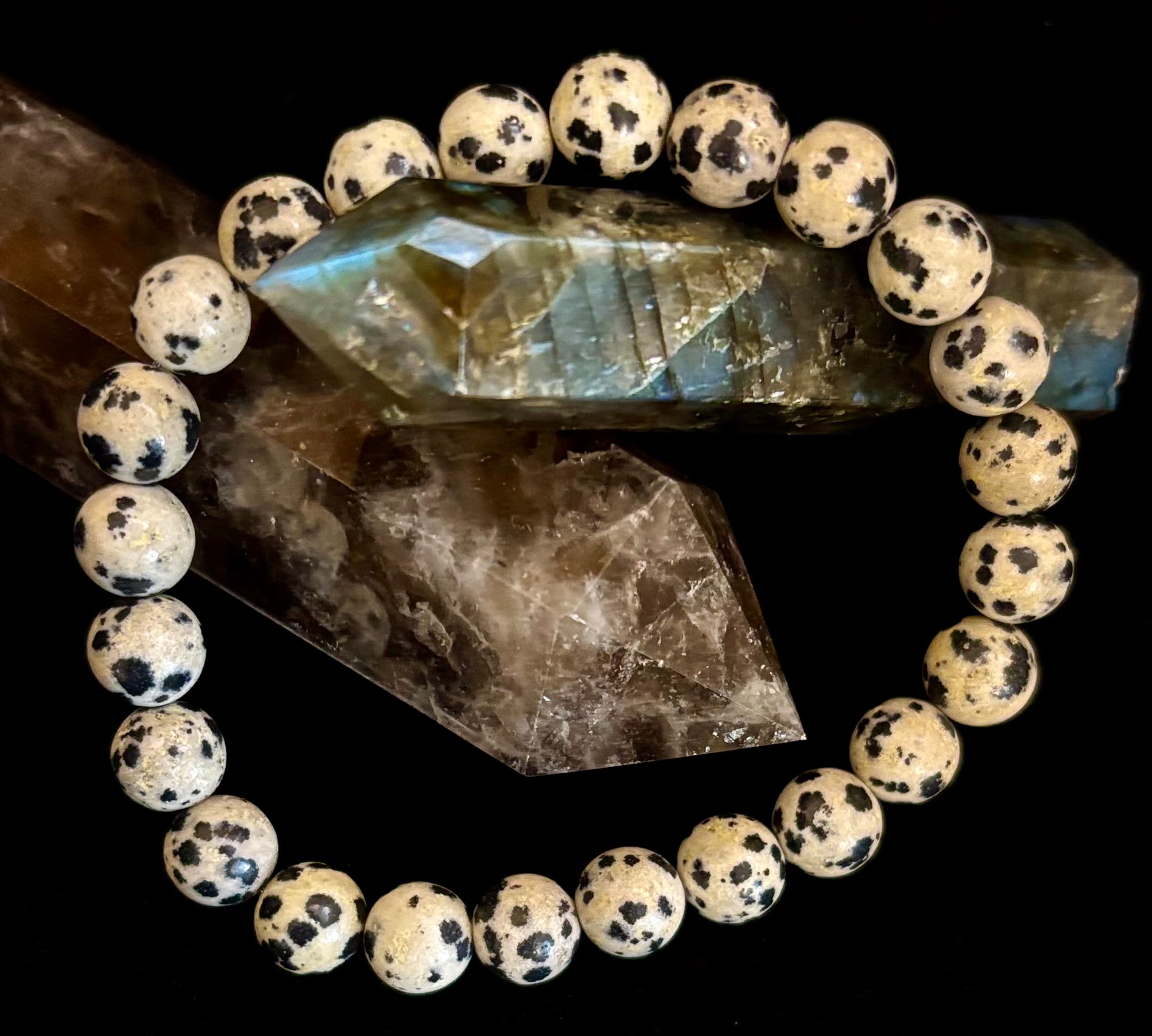 Dalmatian Jasper Protection & Playfulness Bracelet – 8mm or 10mm Natural Stone Beads | | Wiccan Center