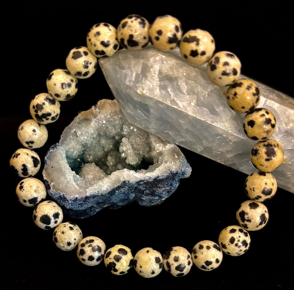 Dalmatian Jasper Protection & Playfulness Bracelet – 8mm or 10mm Natural Stone Beads | | Wiccan Center