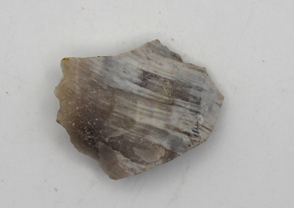 Raw Petrified Wood | | Wiccan Center