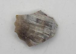 Raw Petrified Wood | | Wiccan Center