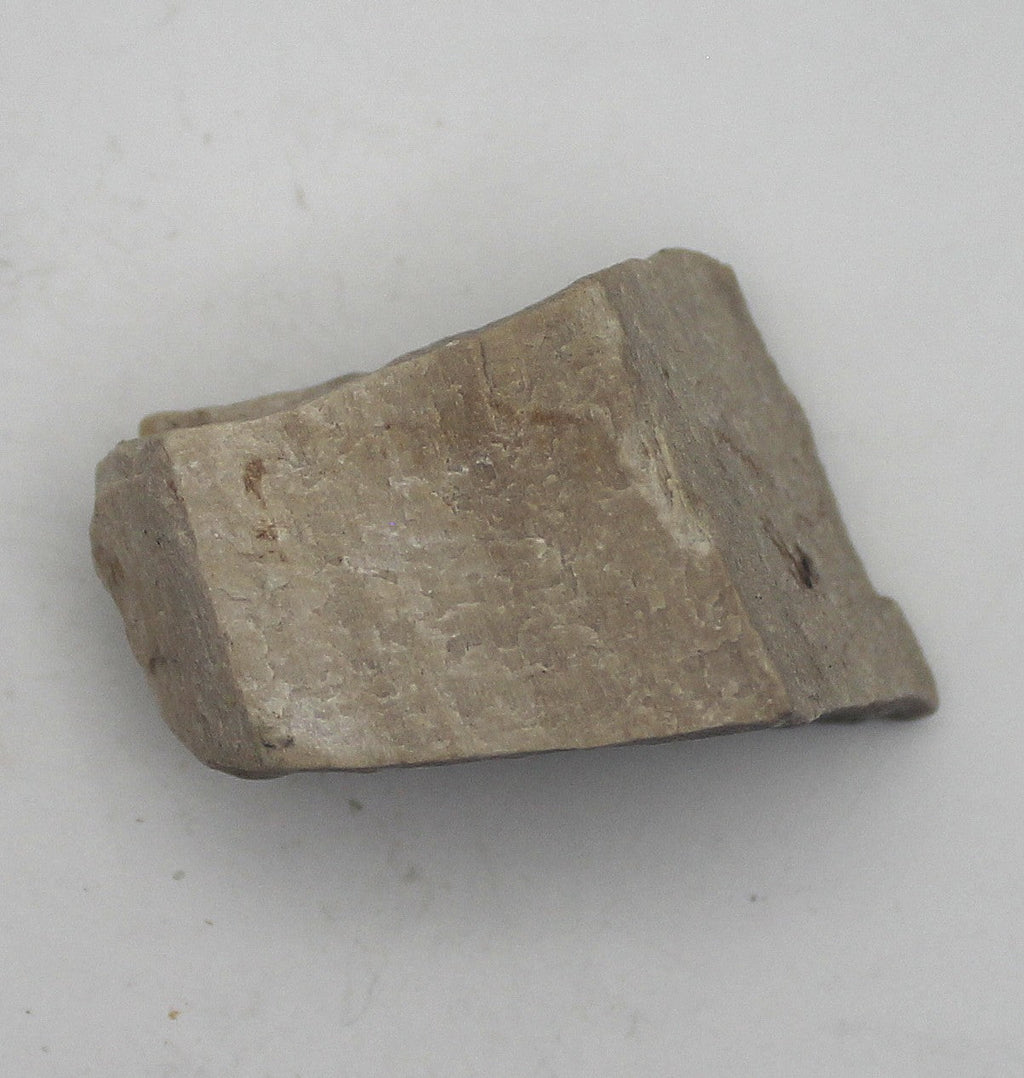 Raw Petrified Wood | | Wiccan Center
