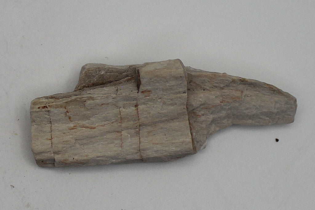 Raw Petrified Wood | | Wiccan Center