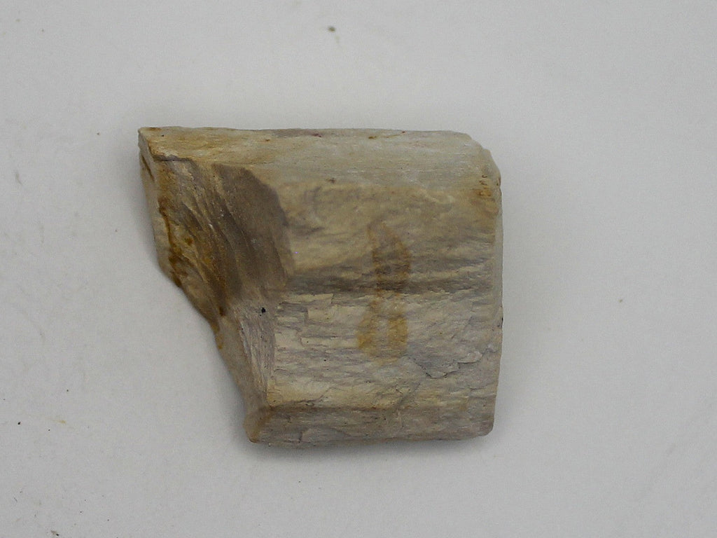 Raw Petrified Wood | | Wiccan Center