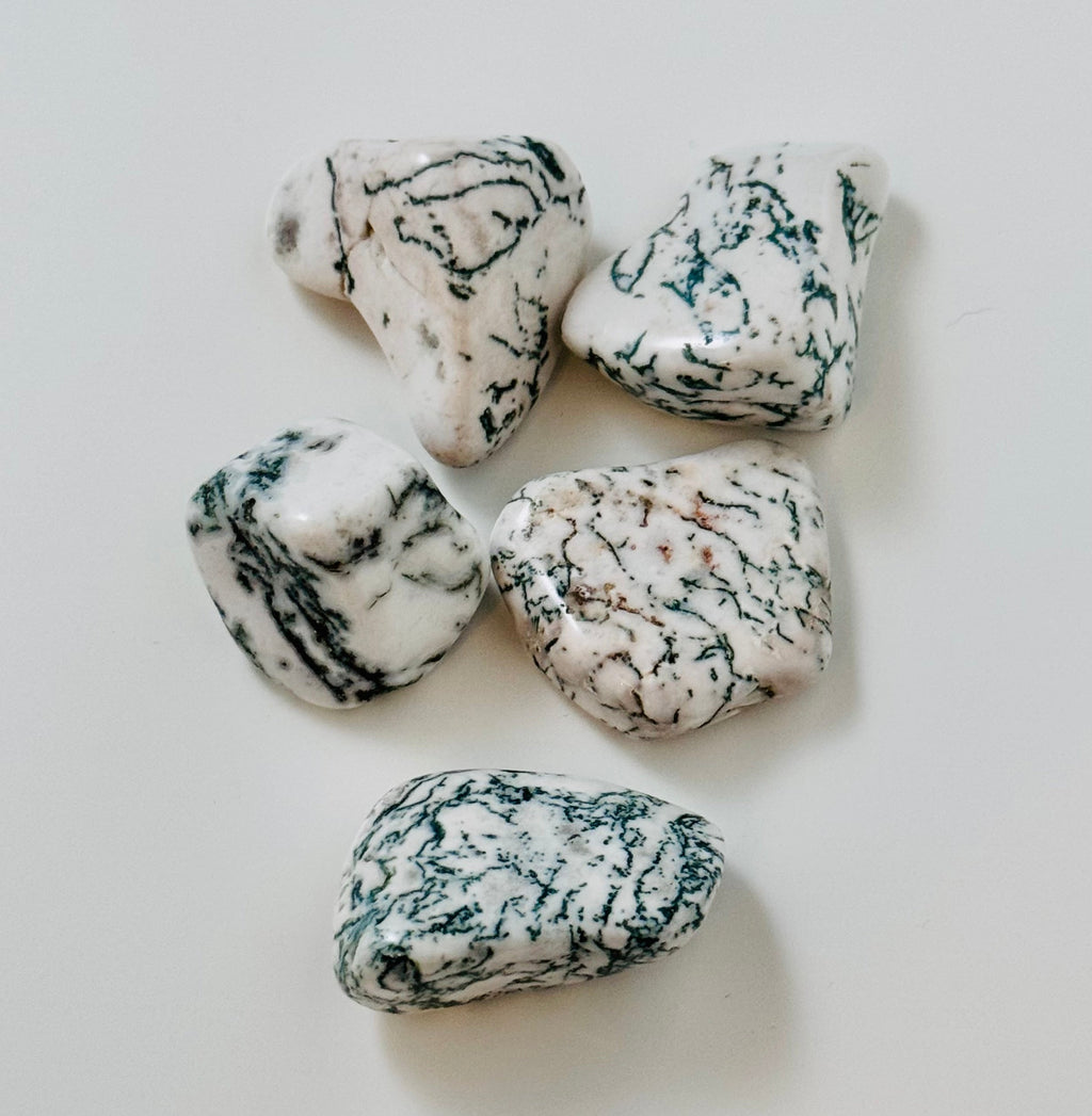 Tree Agate | | Wiccan Center