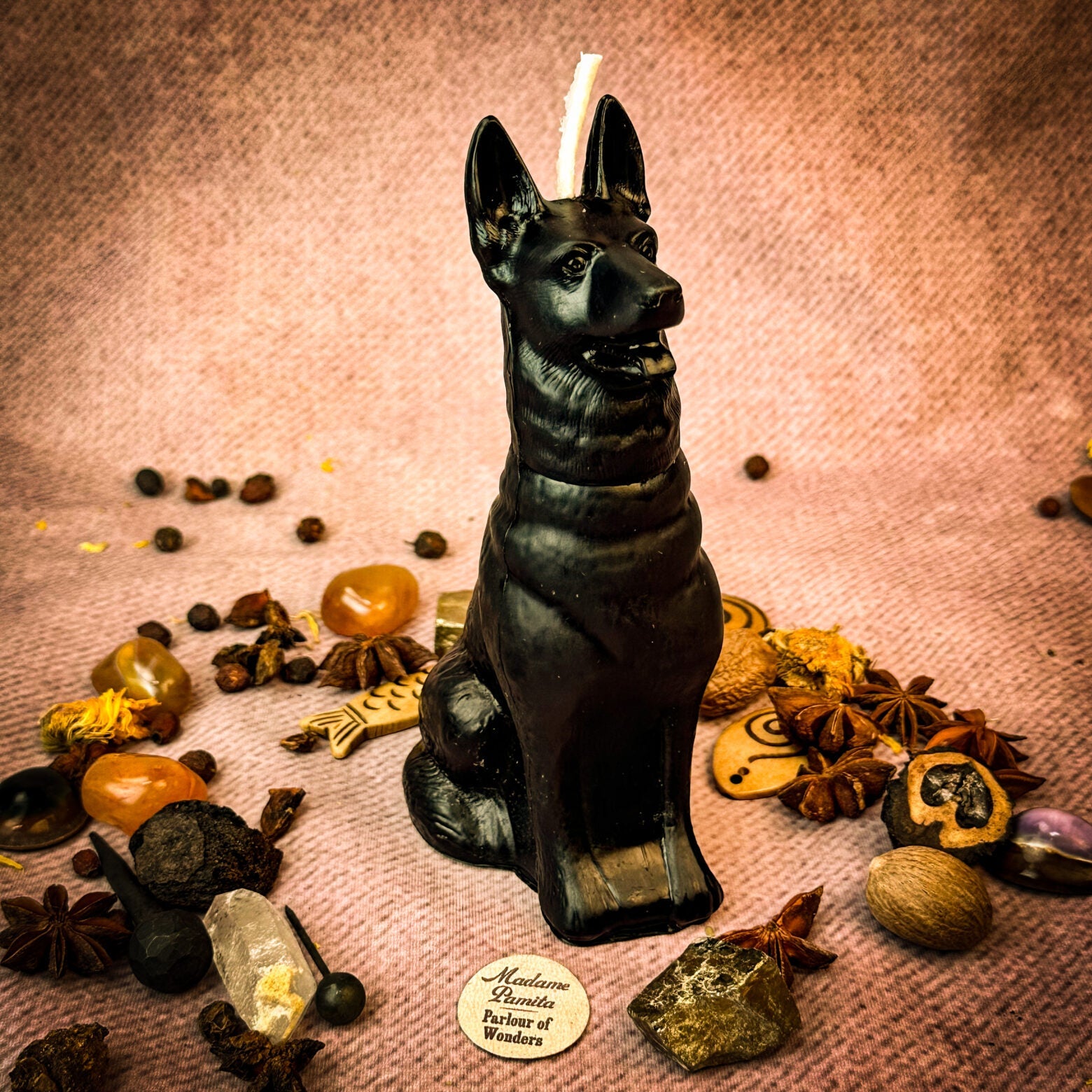 Faithful Dog Candle Spell Kit - Loyalty & Fidelity Magic | Candle Spell Kit | Wiccan Center