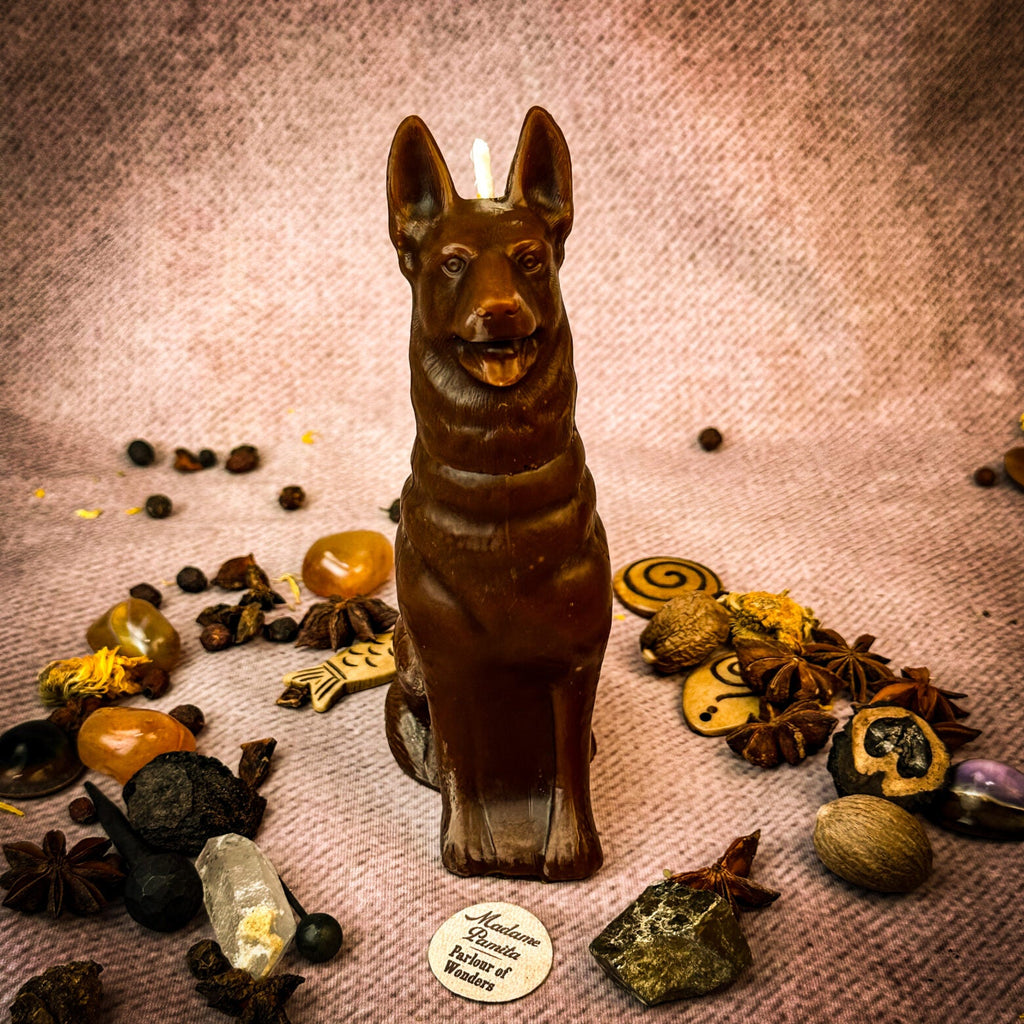 Beeswax Faithful Dog Spell Candle - Loyalty, Fidelity & Unconditional Love | Beeswax Candle | Wiccan Center