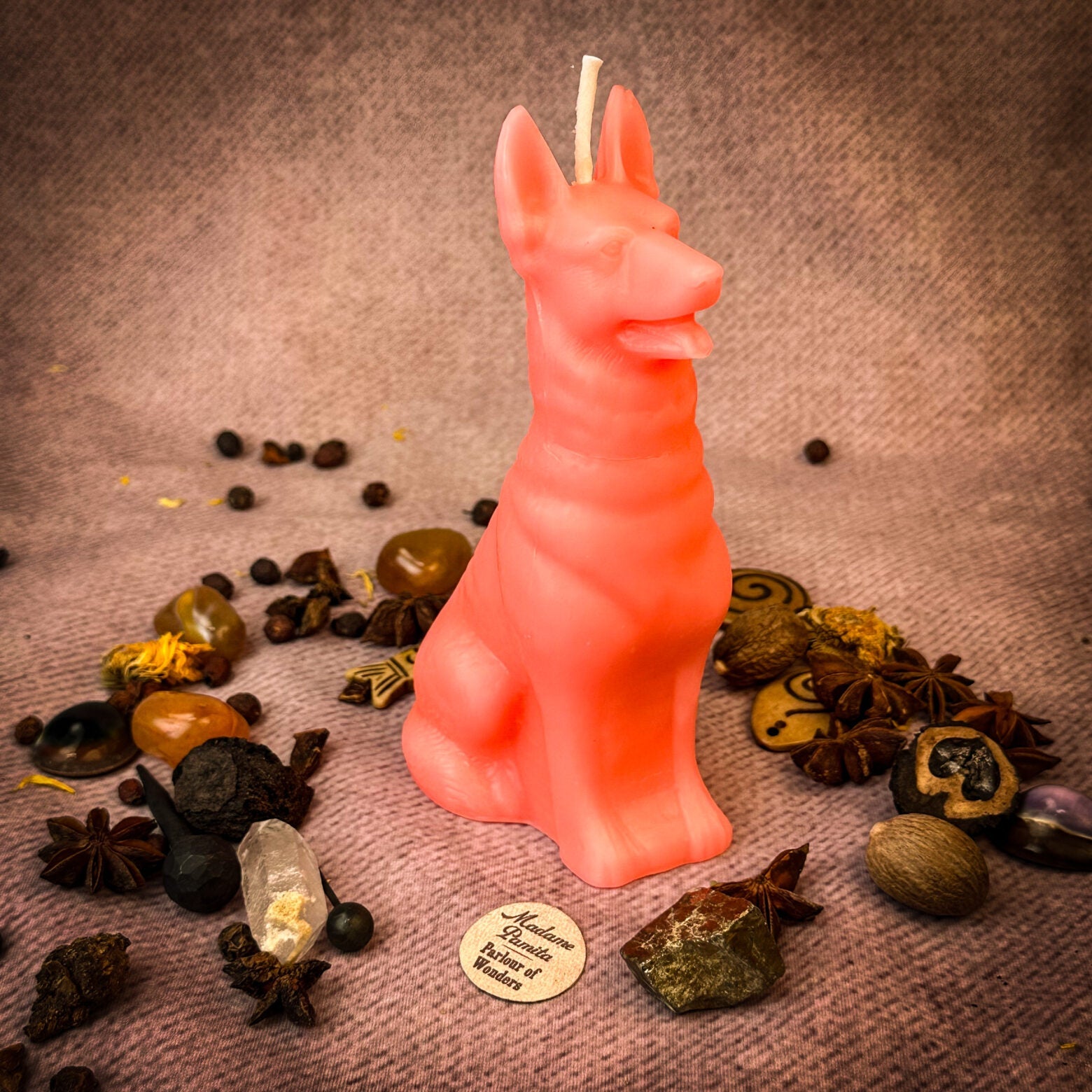 Faithful Dog Candle Spell Kit - Loyalty & Fidelity Magic | Candle Spell Kit | Wiccan Center