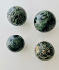 Kambaba Jasper | | Wiccan Center