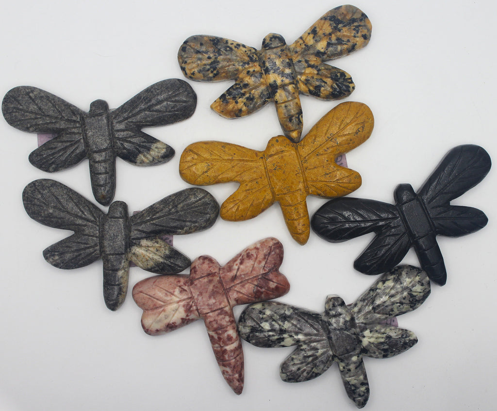 Dragonfly | | Wiccan Center