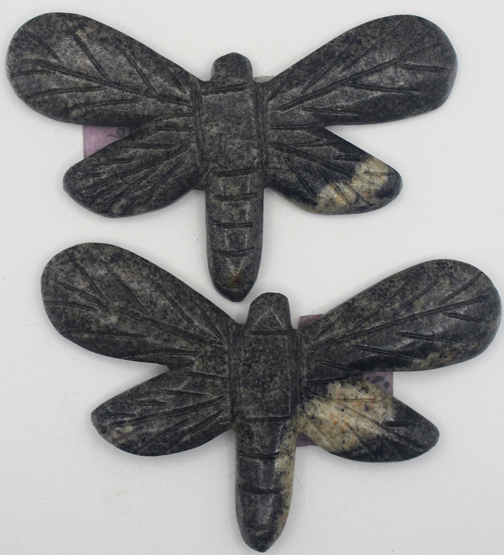 Dragonfly | | Wiccan Center