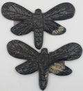 Dragonfly | | Wiccan Center