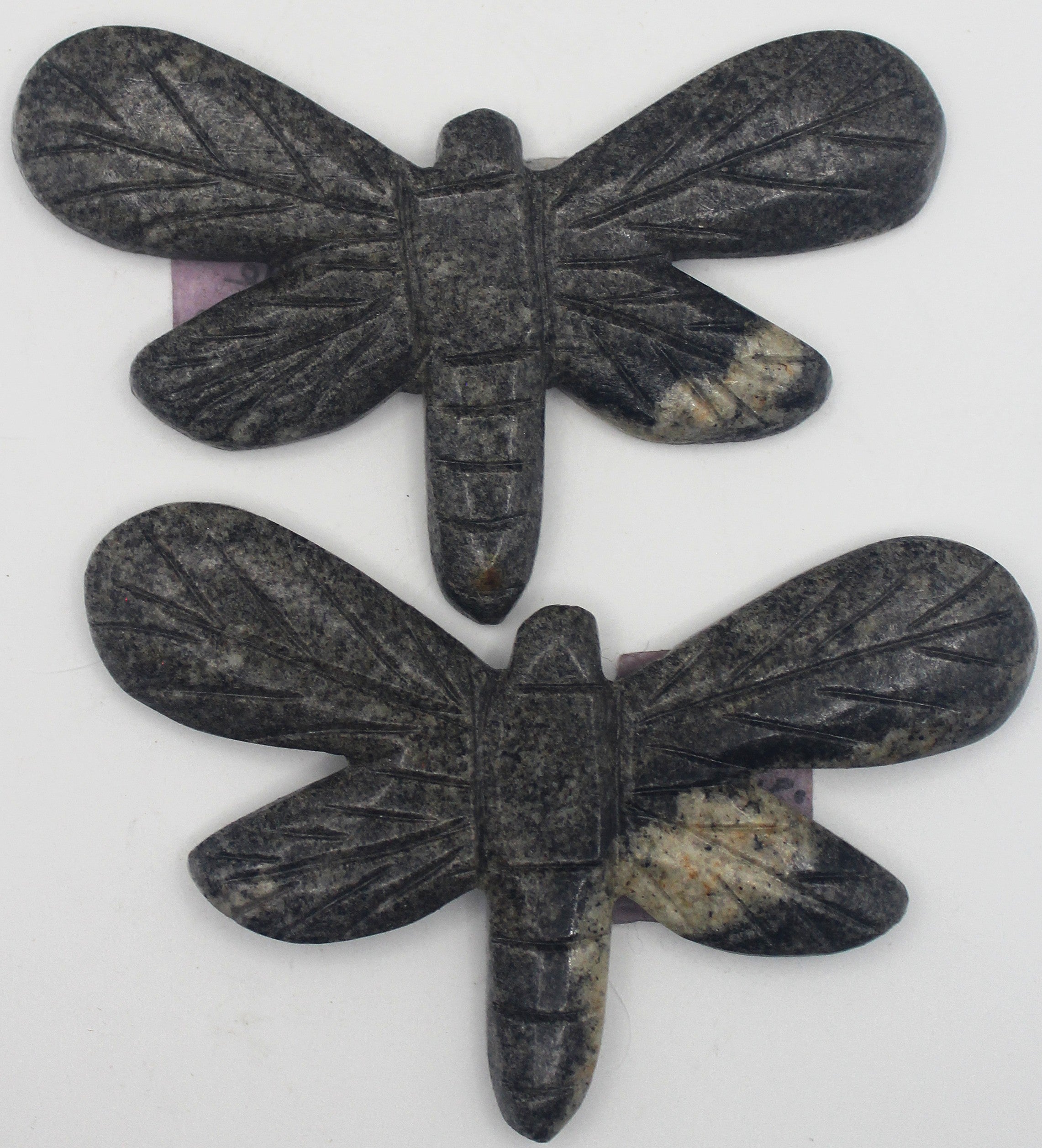 Dragonfly | | Wiccan Center
