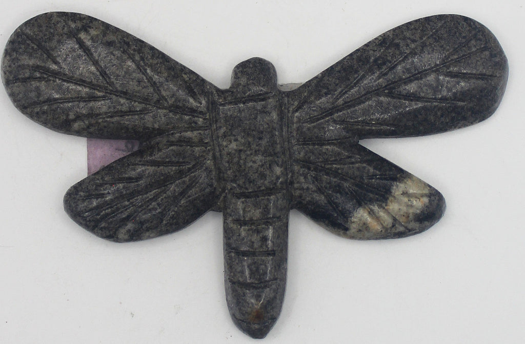Dragonfly | | Wiccan Center