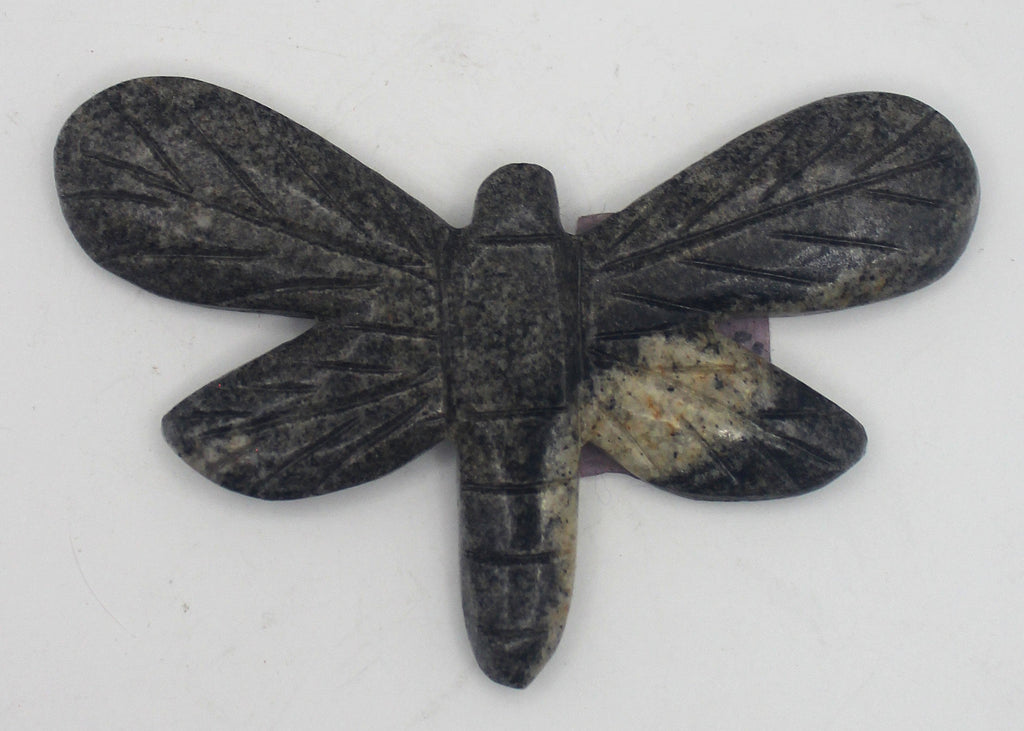 Dragonfly | | Wiccan Center