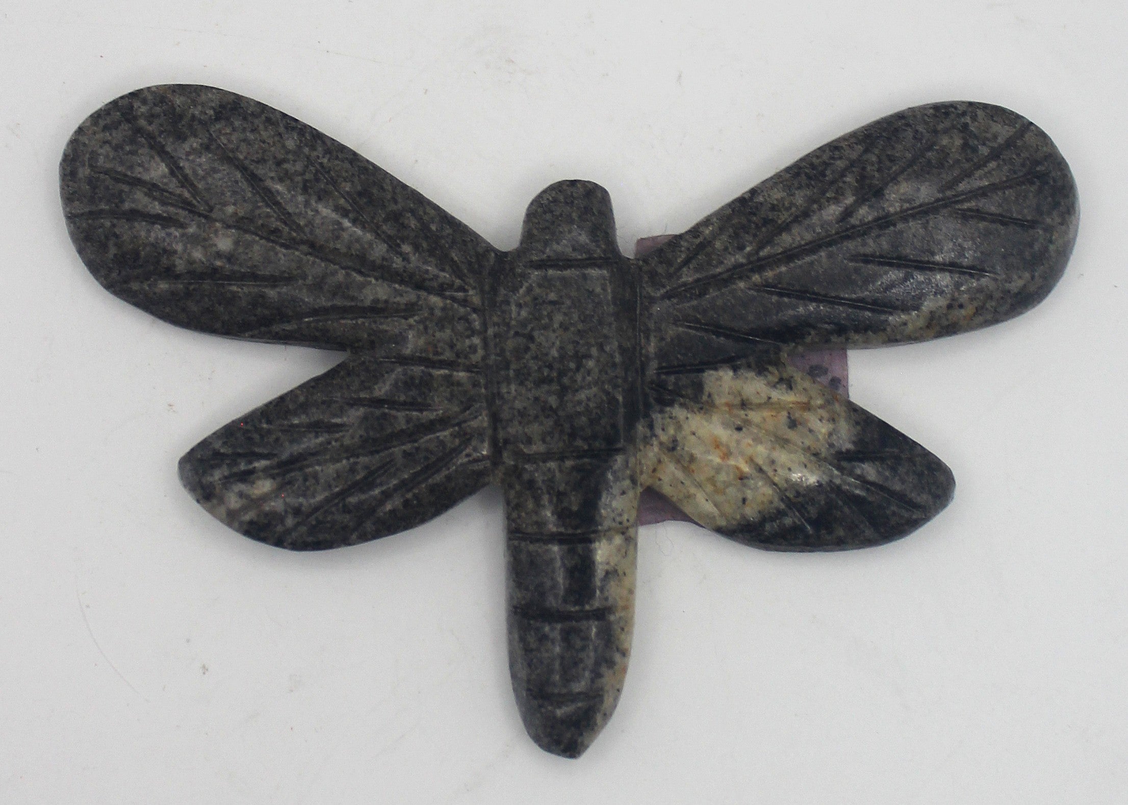 Dragonfly | | Wiccan Center
