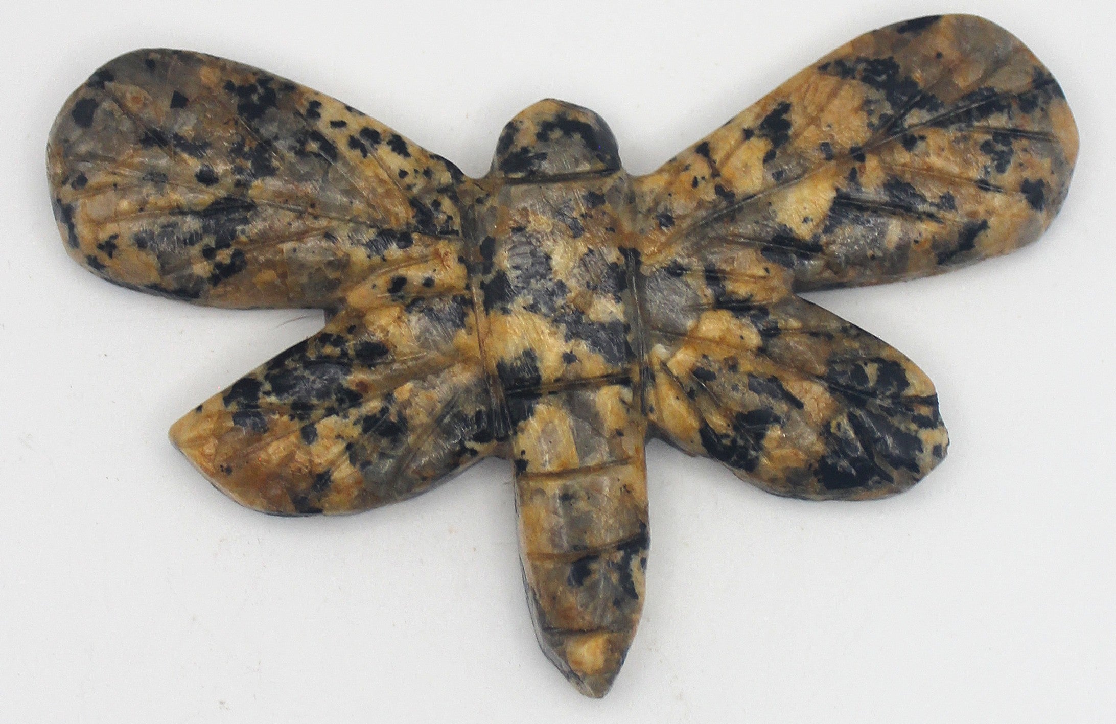 Dragonfly | | Wiccan Center