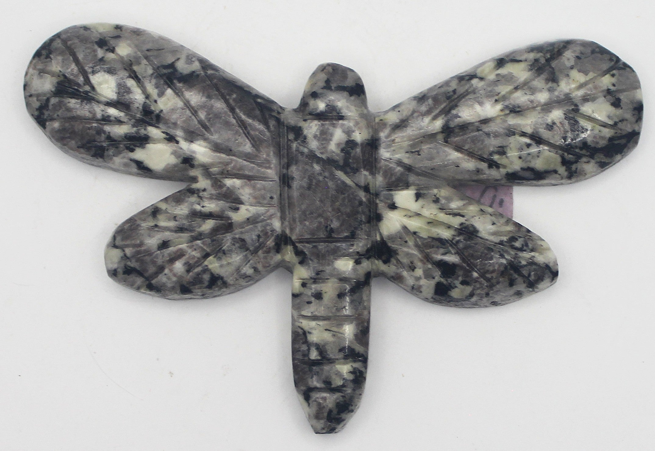 Dragonfly | | Wiccan Center
