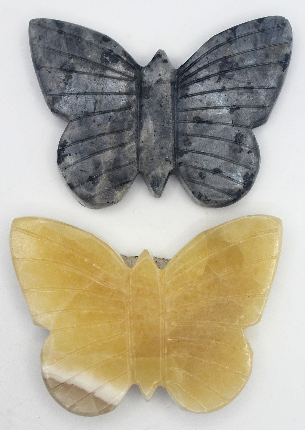 Butterfly | | Wiccan Center