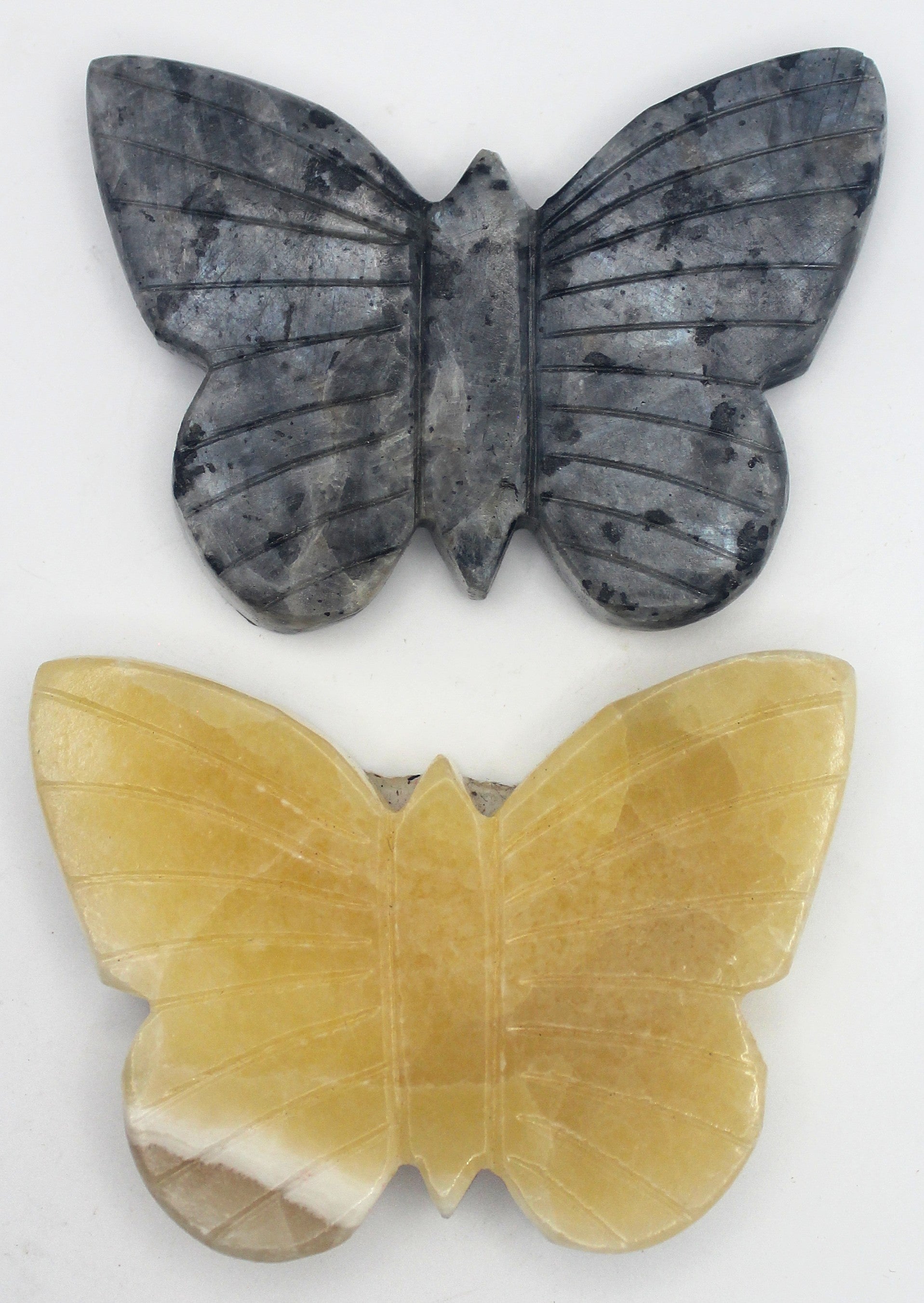 Butterfly | | Wiccan Center