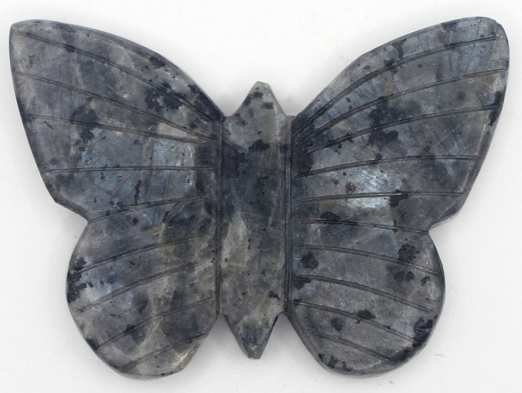 Butterfly | | Wiccan Center