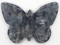 Butterfly | | Wiccan Center