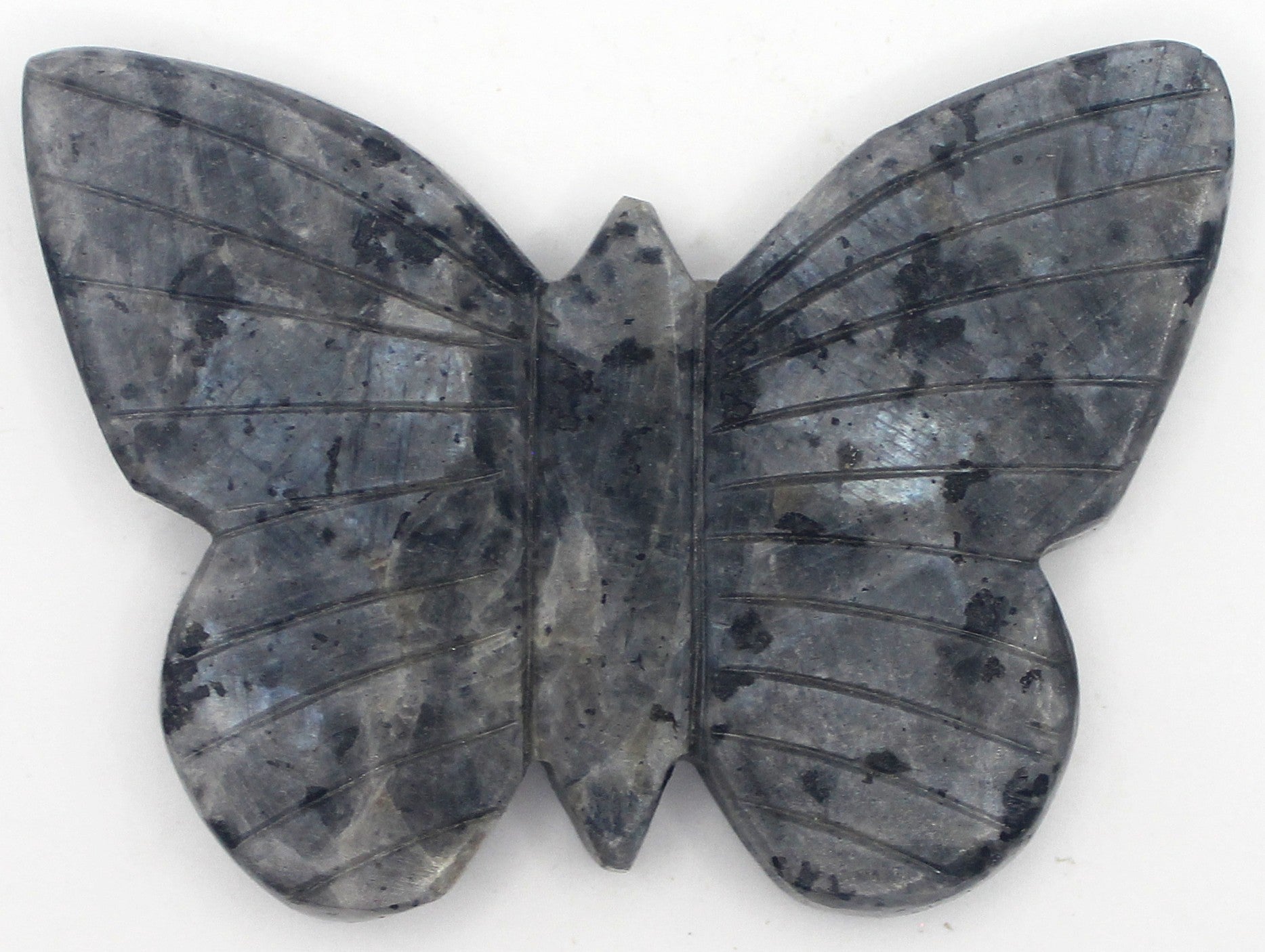 Butterfly | | Wiccan Center
