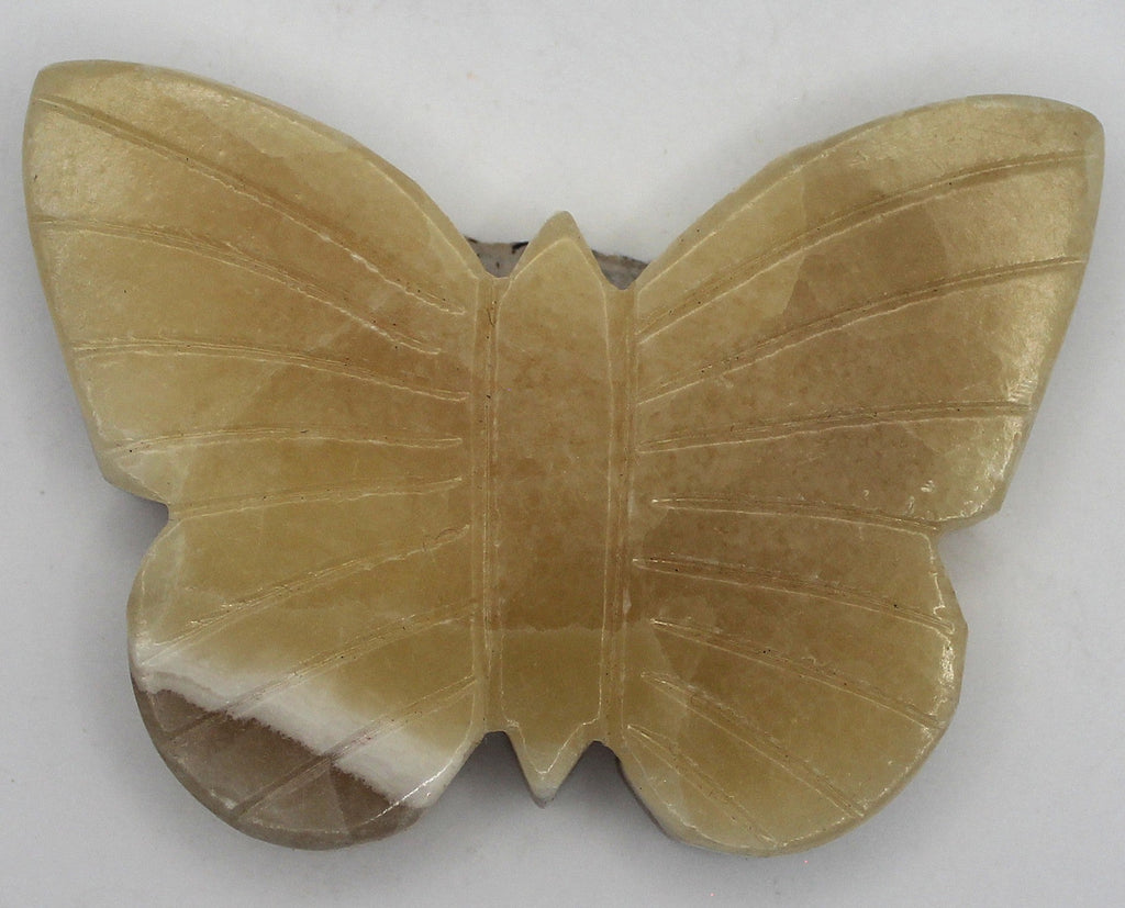 Butterfly | | Wiccan Center