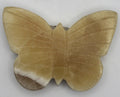 Butterfly | | Wiccan Center