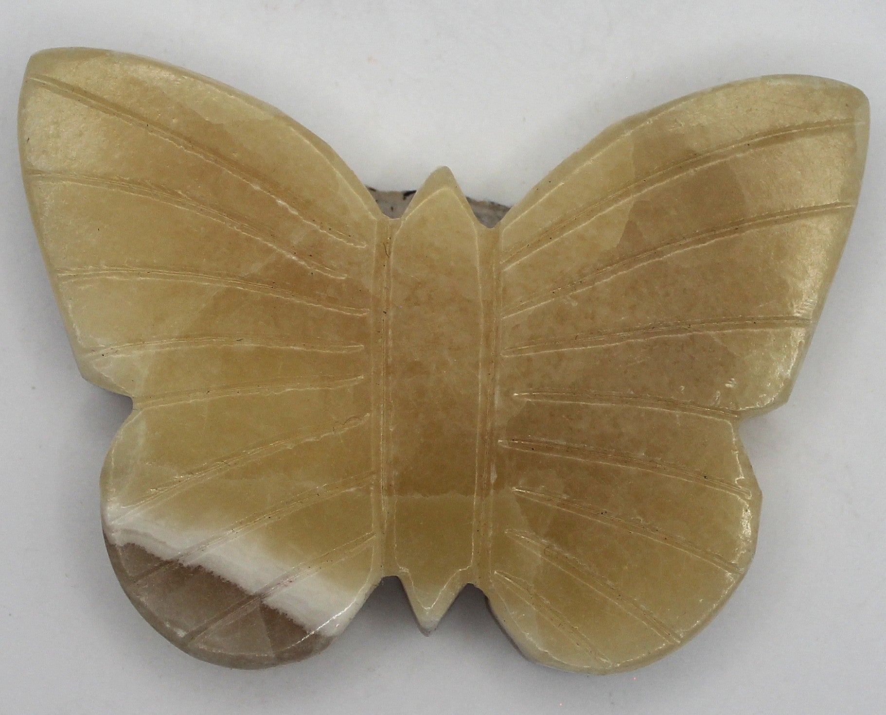 Butterfly | | Wiccan Center