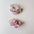 Halite - Pink | | Wiccan Center