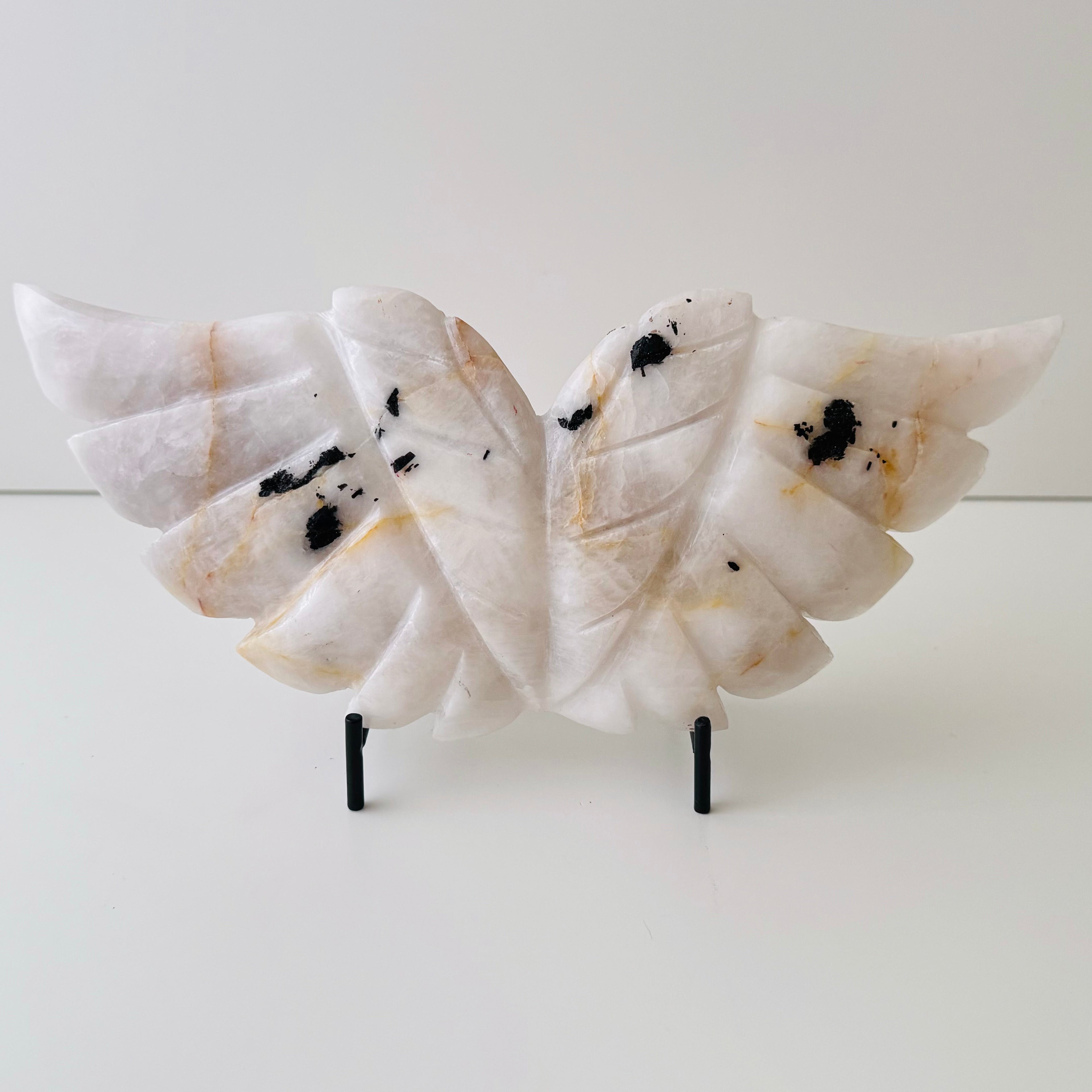Angel Wings | | Wiccan Center