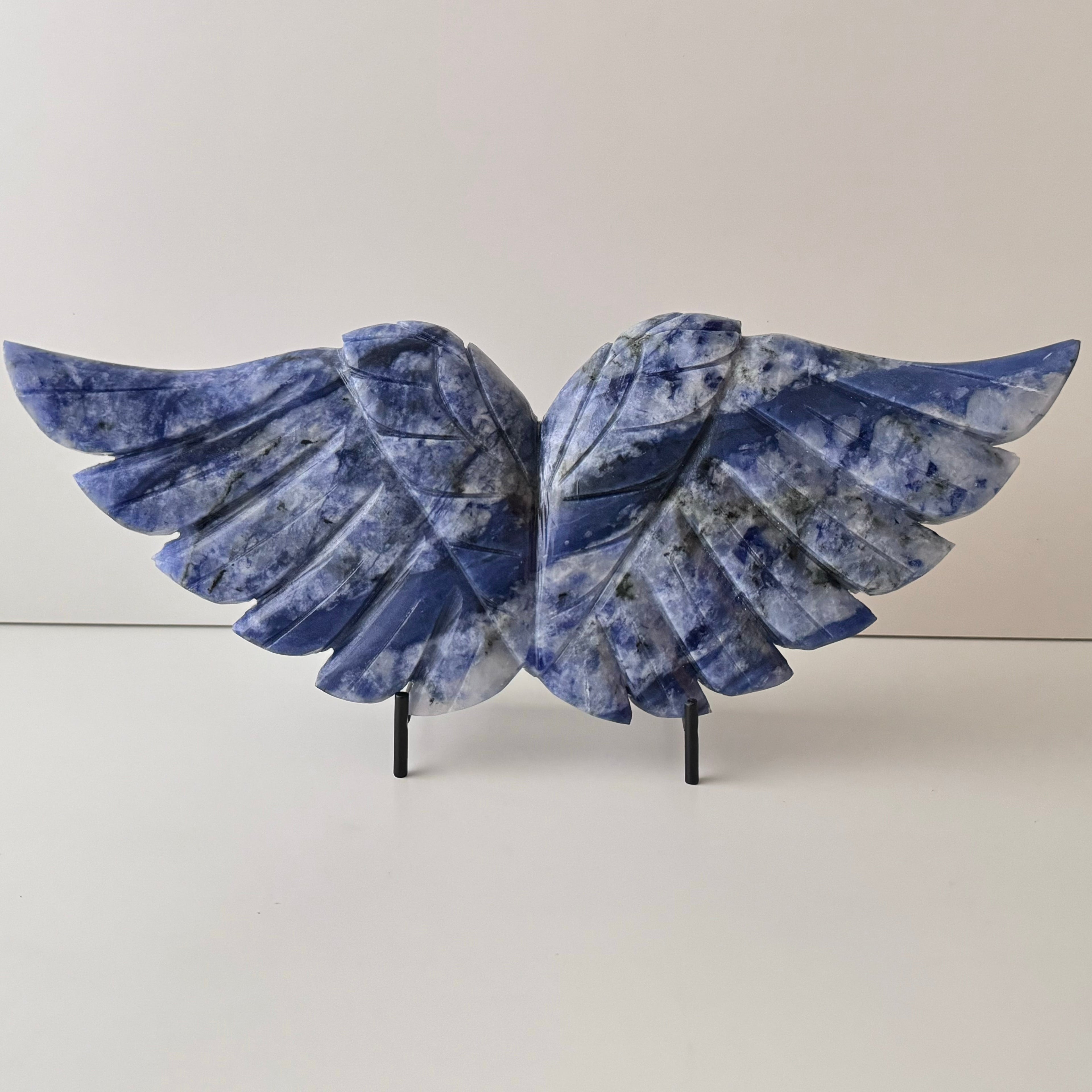 Angel Wings | | Wiccan Center