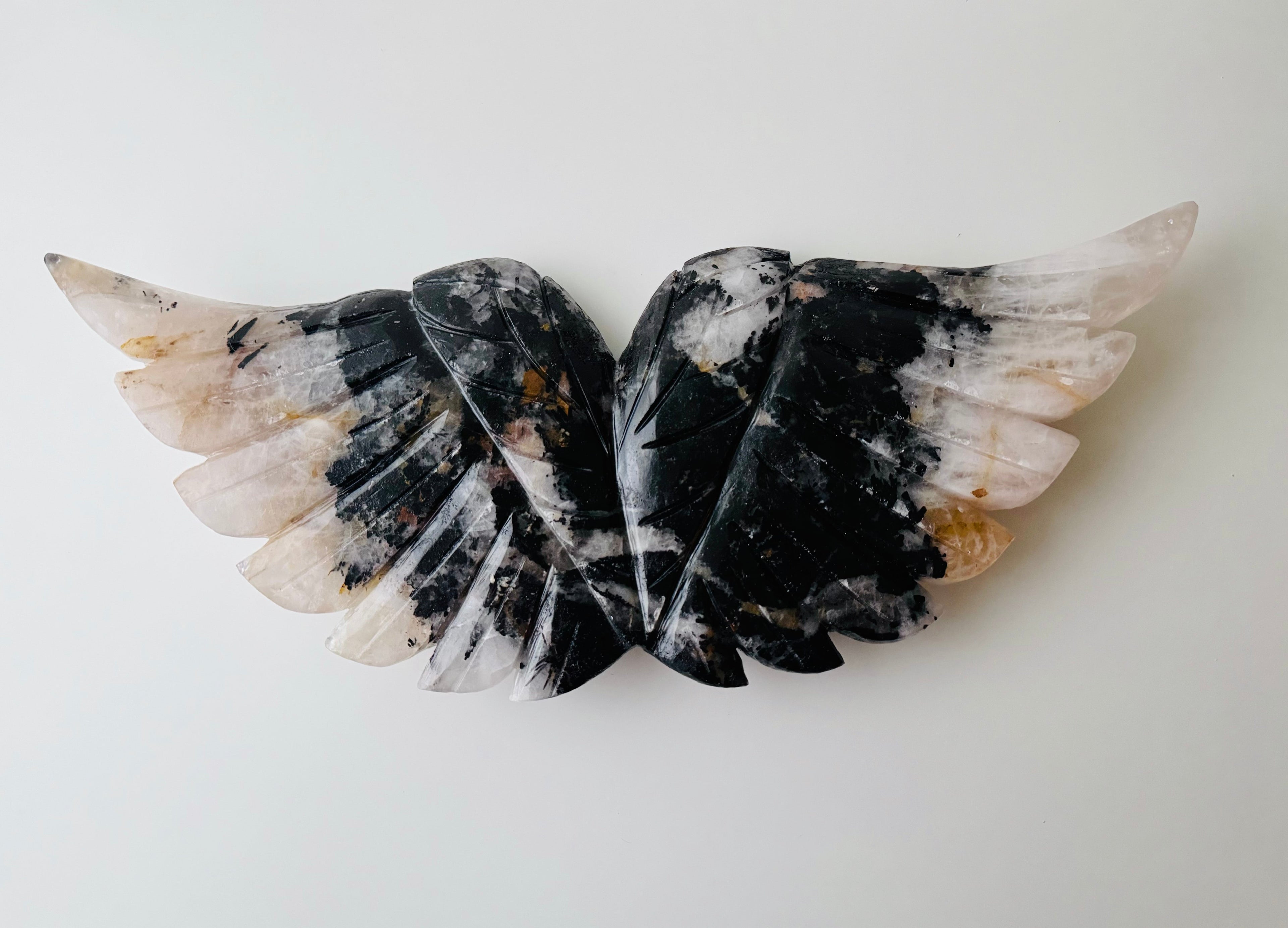 Angel Wings | | Wiccan Center