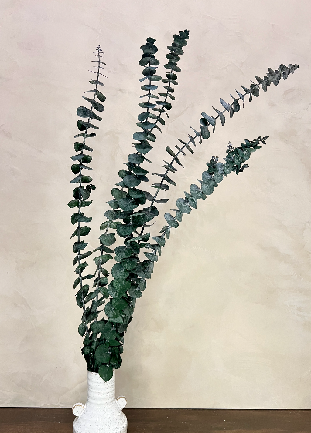 Preserved Baby Blue Spiral Eucalyptus | Greenery | Wiccan Center