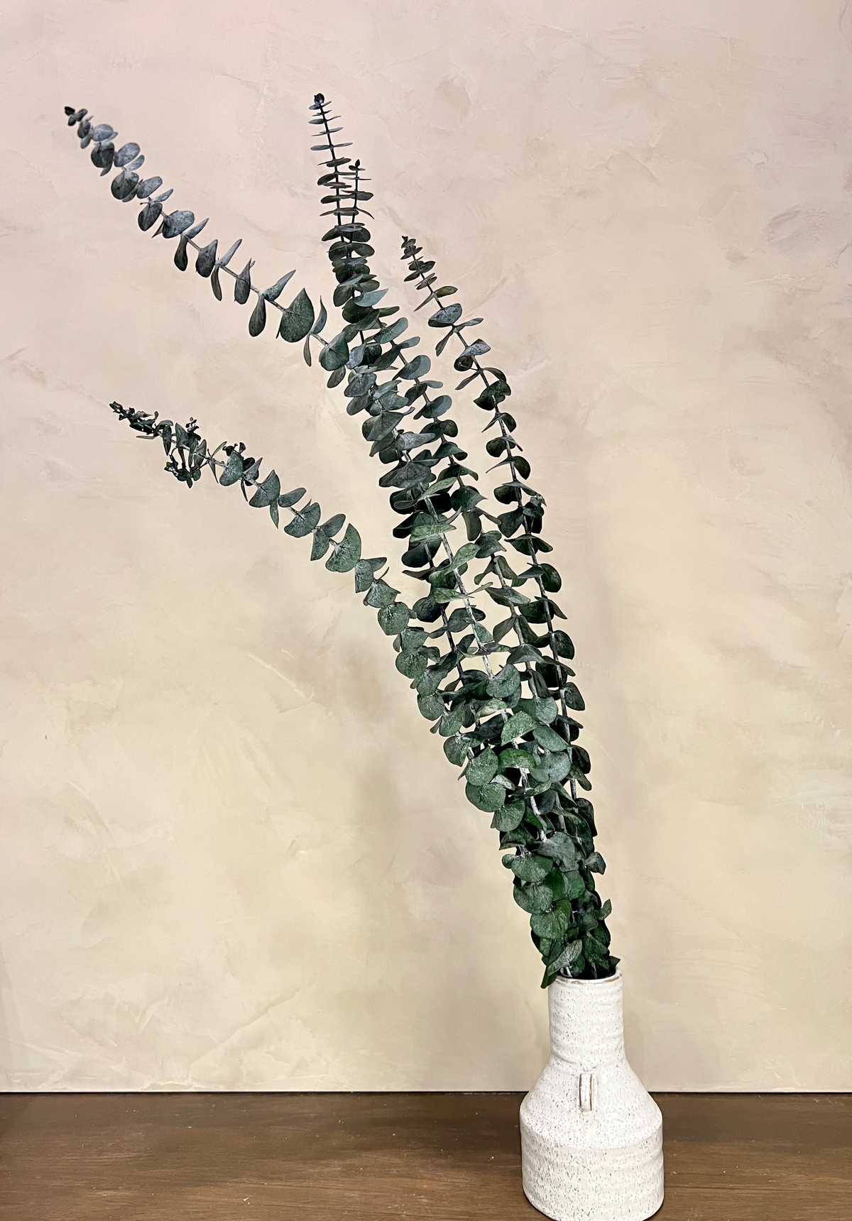 Preserved Baby Blue Spiral Eucalyptus | Greenery | Wiccan Center