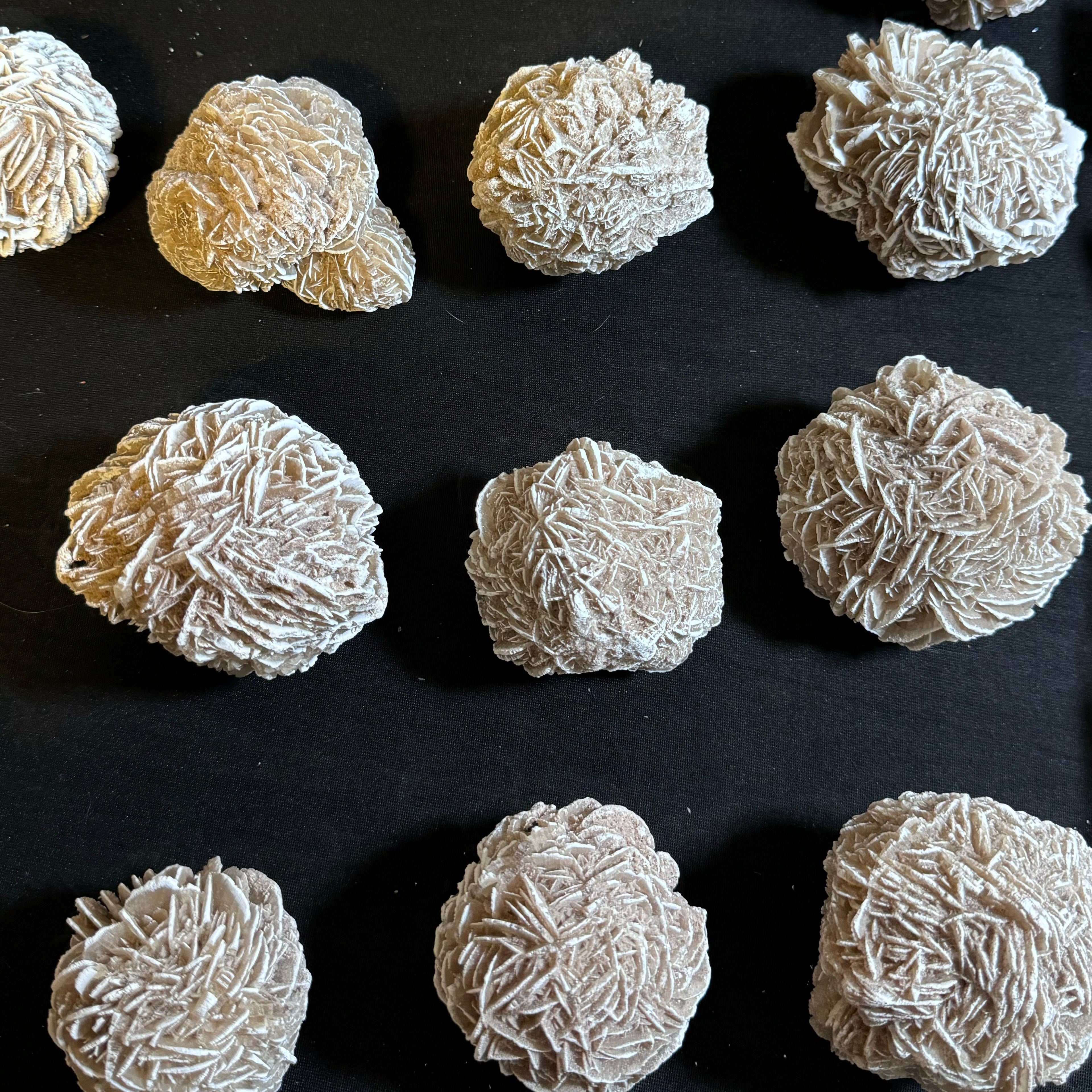 Desert Rose | | Wiccan Center