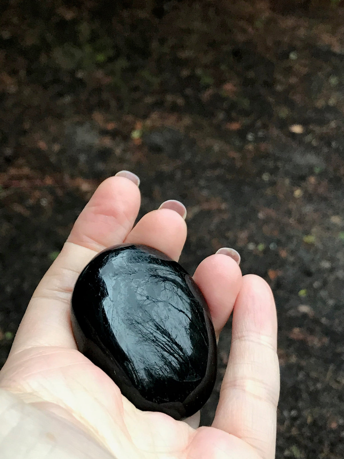 Selenite & Black Tourmaline Energy Harmonizer Palm Set